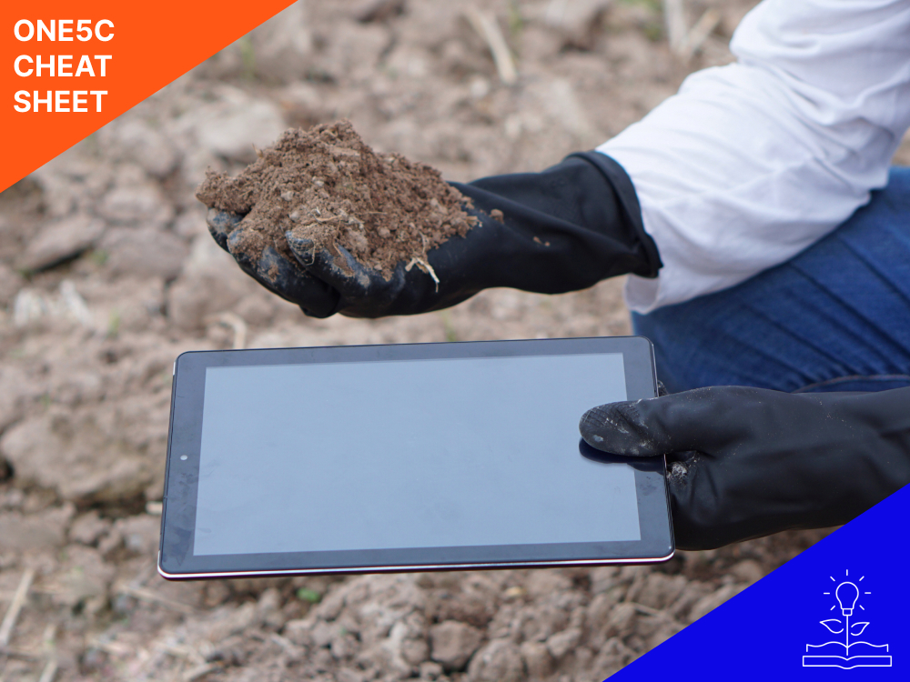 person-analyzing-waste