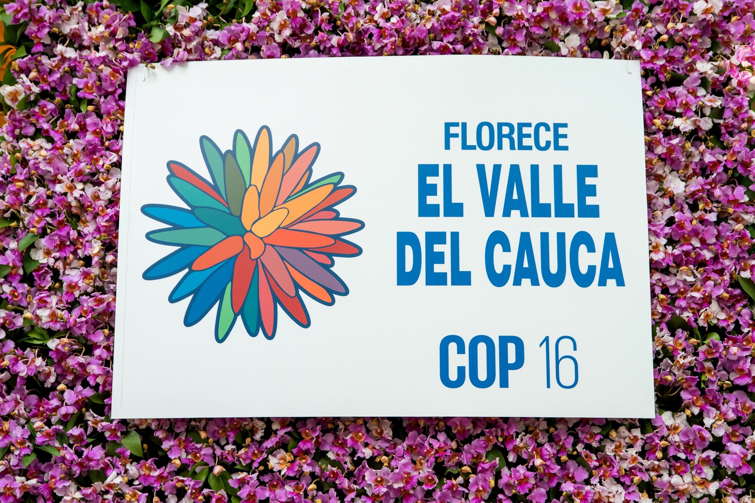 COP 16 sign