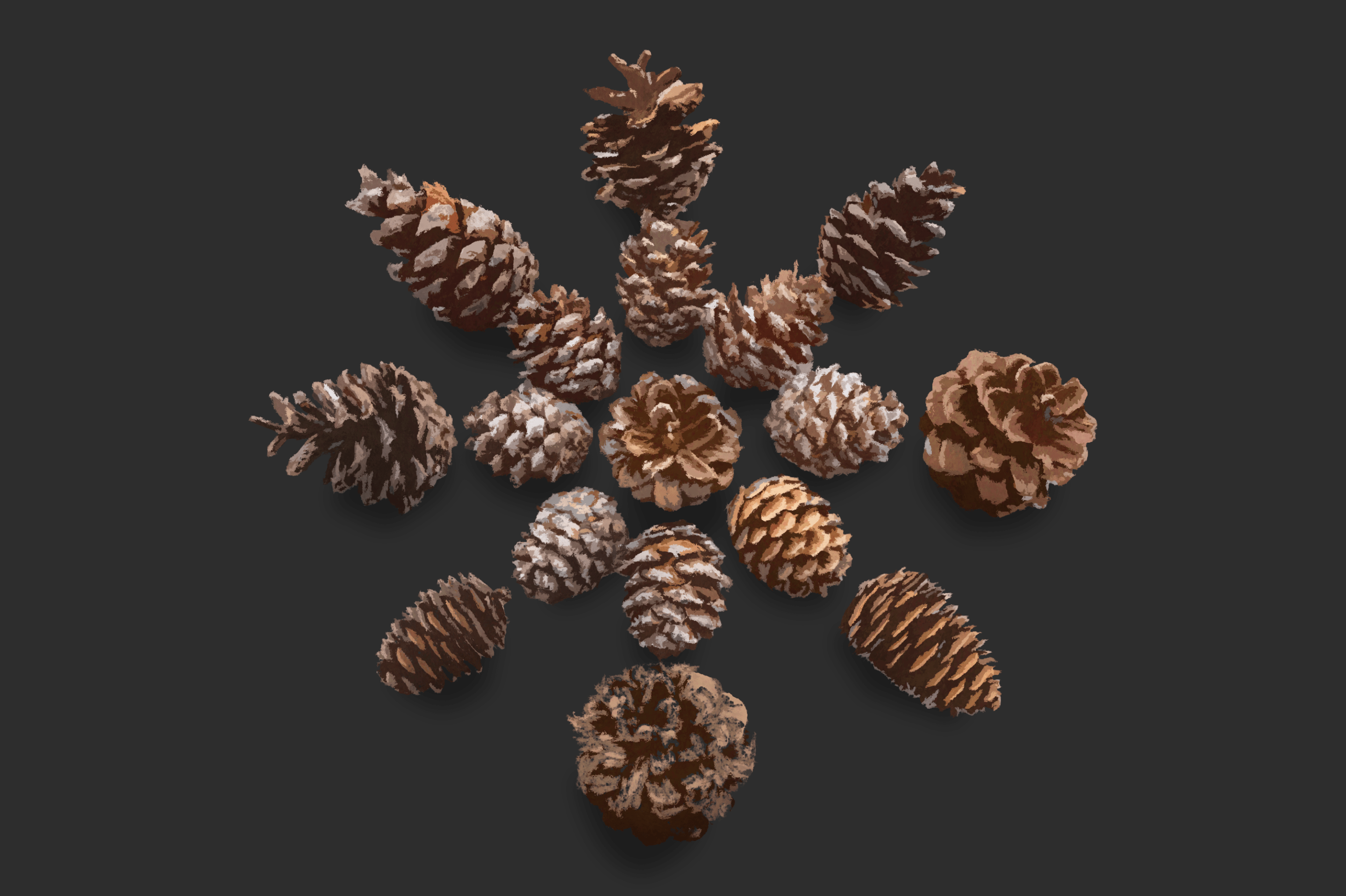 snowflake made of pine cones