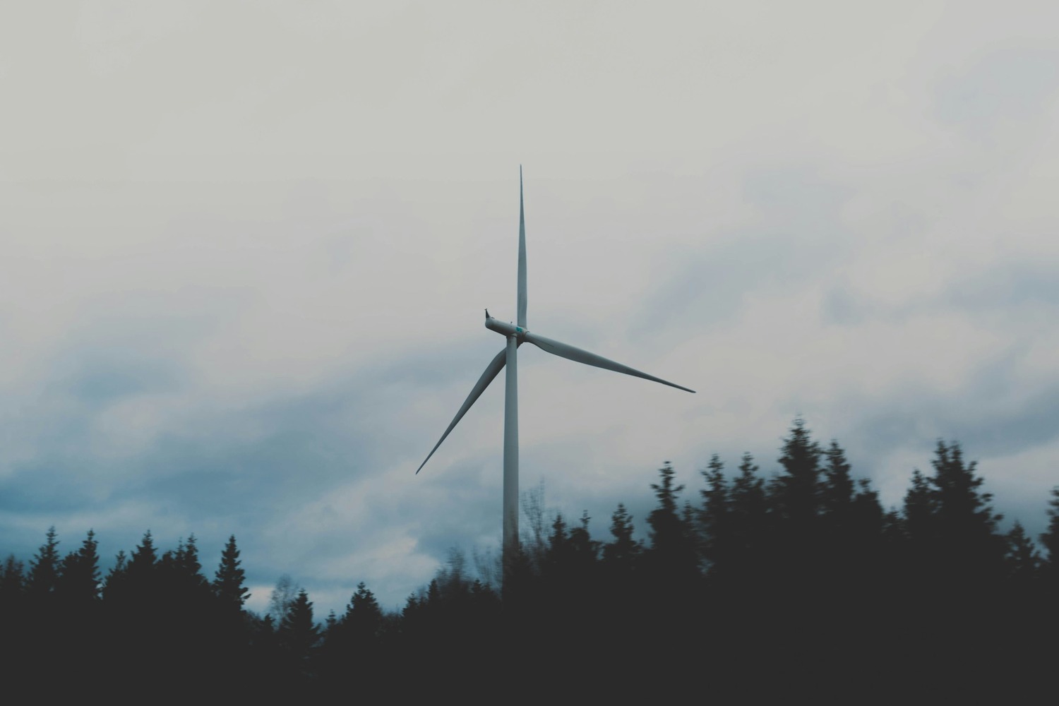 wind turbine over forest