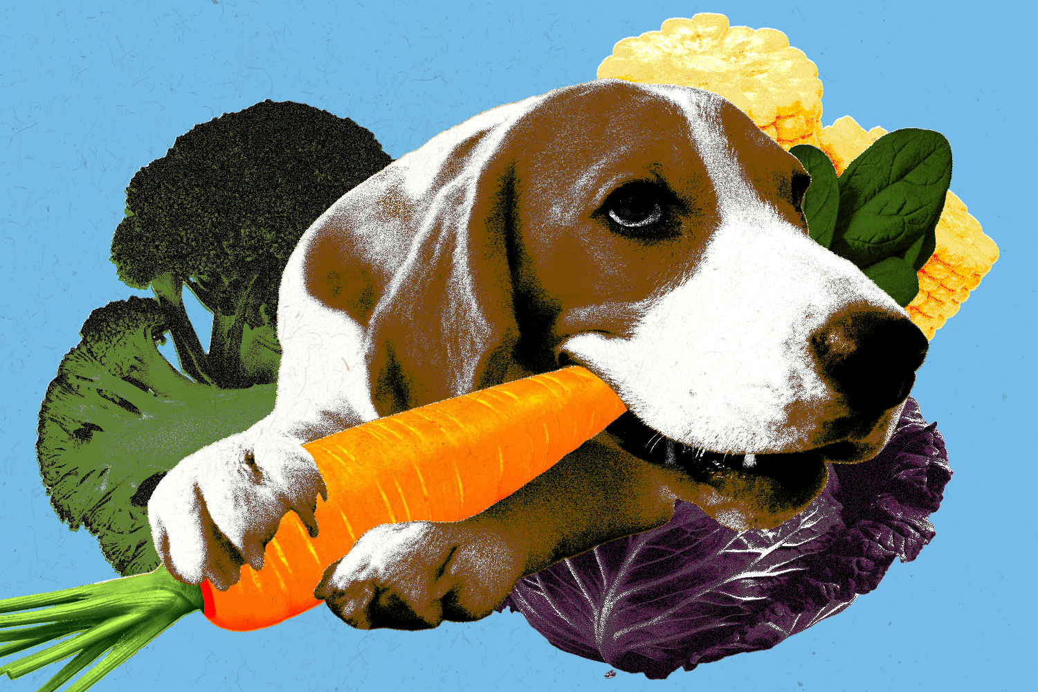 Dog chewing on carrot with various vegetables behind them.