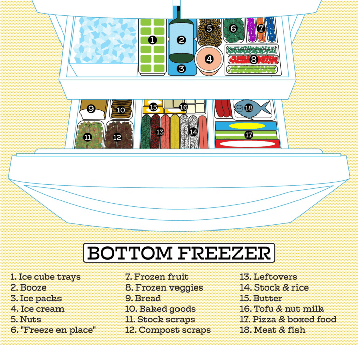 bottom freezer organization chart