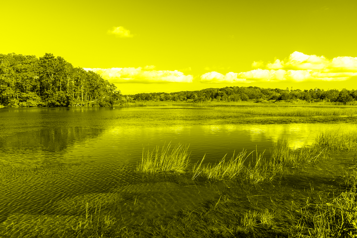 Large pond in a tidal marsh with a deciduous forest in background on a sunny autumn day. Cape Cod, MA, USA.