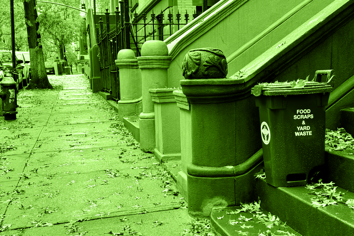 new york city compost and yard waste bin on stoop
