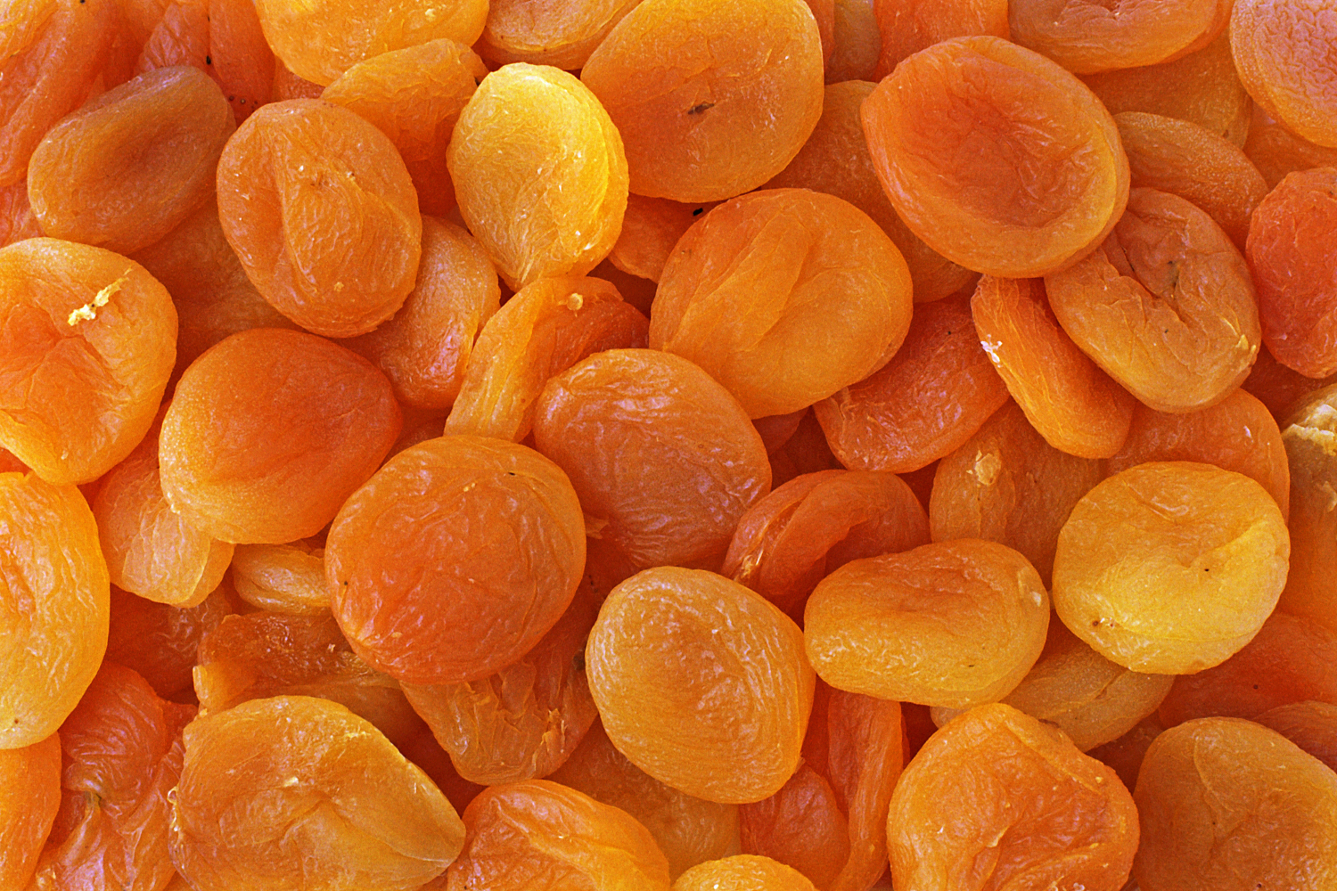 dried apricots