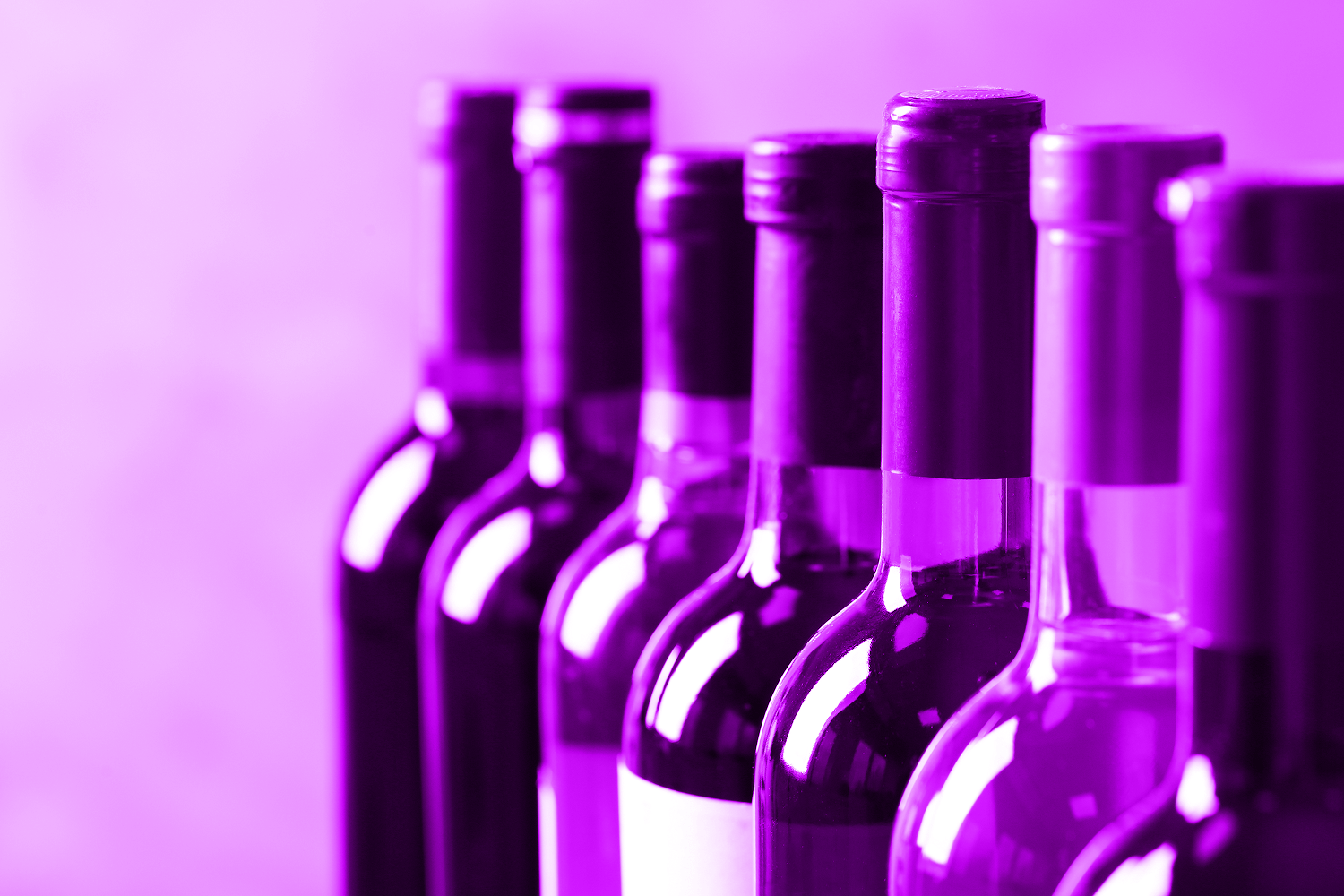 wine bottles in a row