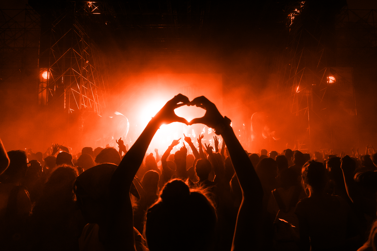 Crowd of fans at concert